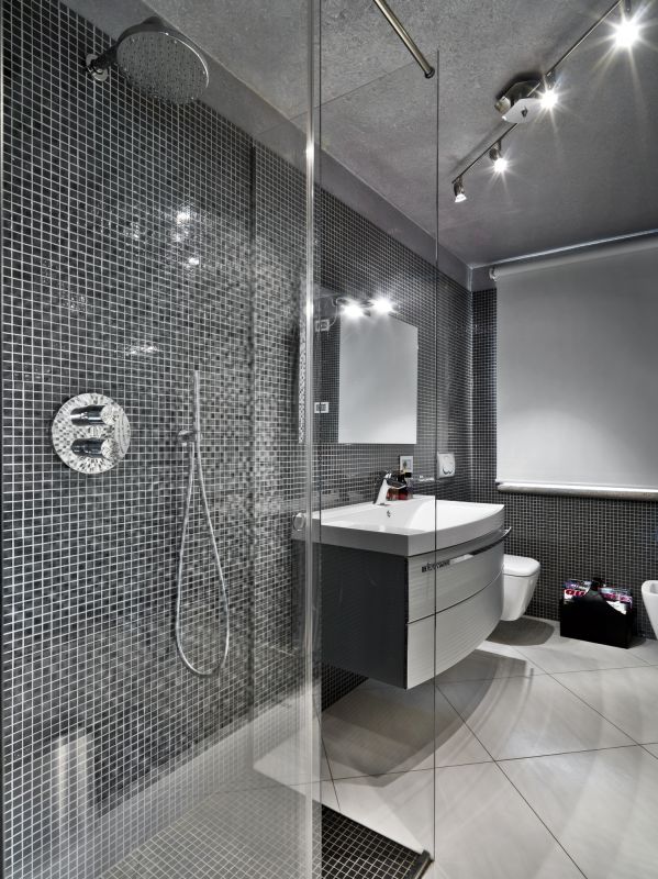 Sleek Shower Design