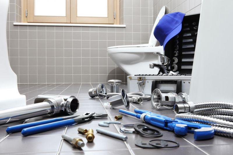 Licensed Plumbing Professionals